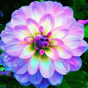 Meet your Posher, Alejandra