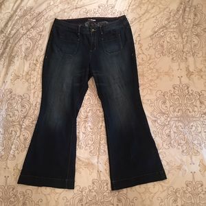 Lane Bryant Flare Jeans