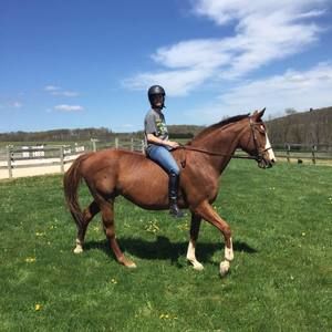 Meet your Posher, Kendall