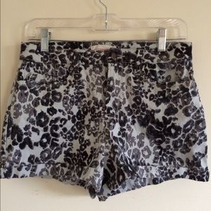 High Waisted Printed Shorts