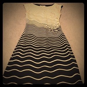 Cotton J Crew dress