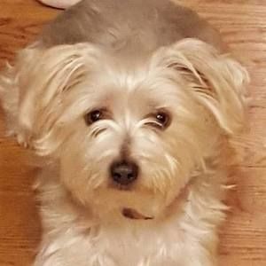 Meet your Posher, Mindy