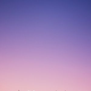 Meet your Posher, Ariana