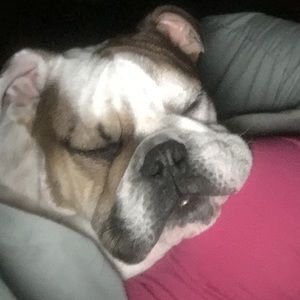 Meet your Posher, Krissy