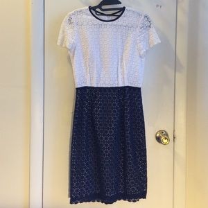 Calvin Klein Lace Dress