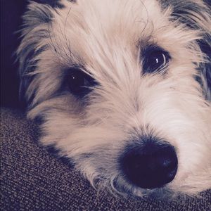 Meet your Posher, Jean