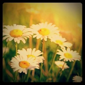 *Celebrating the Arrival of our Miracle Baby*!