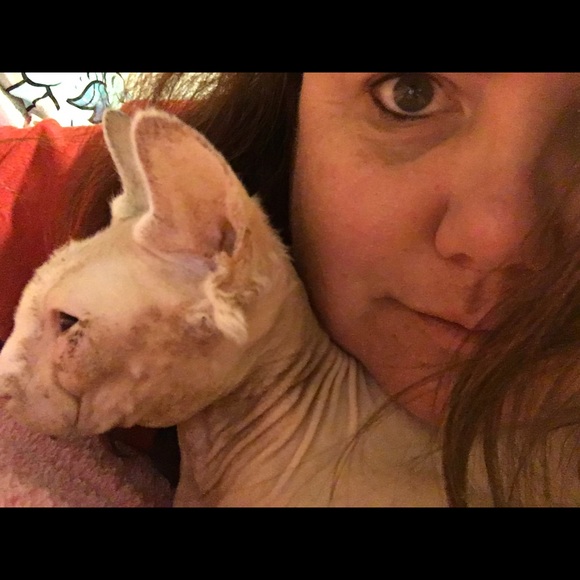 Meet your Posher, Ginger - Picture 2 of 3