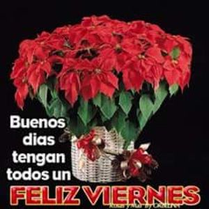 Meet your Posher, Grisel