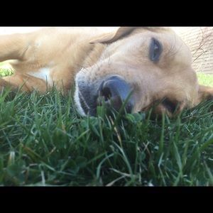 Meet your Posher, Olivia