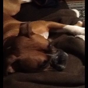 Meet your Posher, Erica