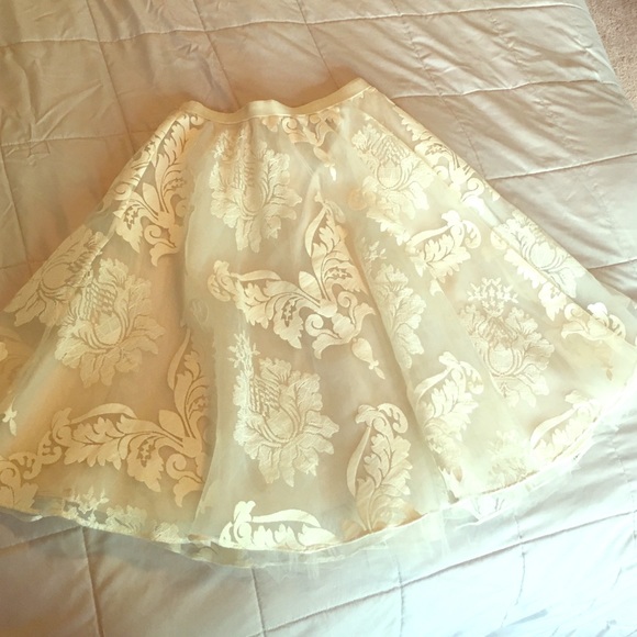 Anthropologie Emeline tulle skirt by baraschi