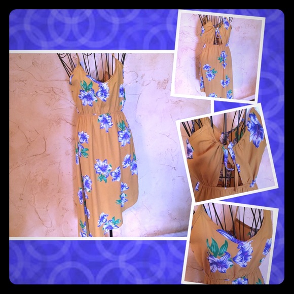 Adorable NWT Floral Print Sun Dress