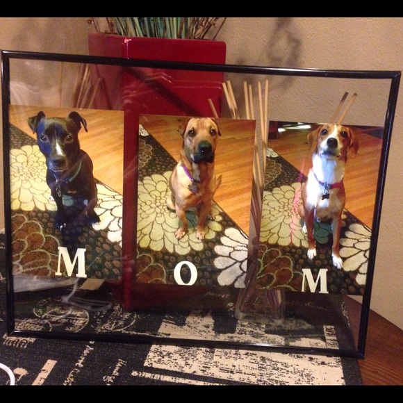 Meet your Posher, Tayler - Picture 4 of 4