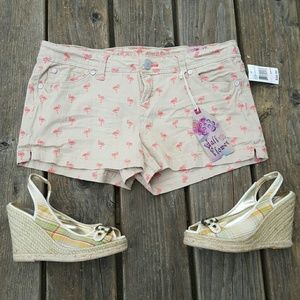 CUTE Flamingo design shorts size 13