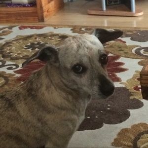 Meet your Posher, Wendy