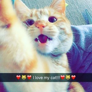 Meet your Posher, Lilly