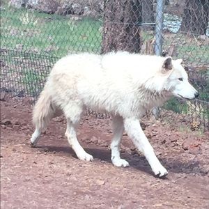 Meet your Posher, Veronica