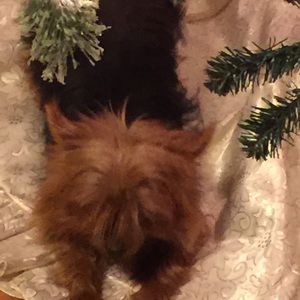 Meet your Posher, Terry