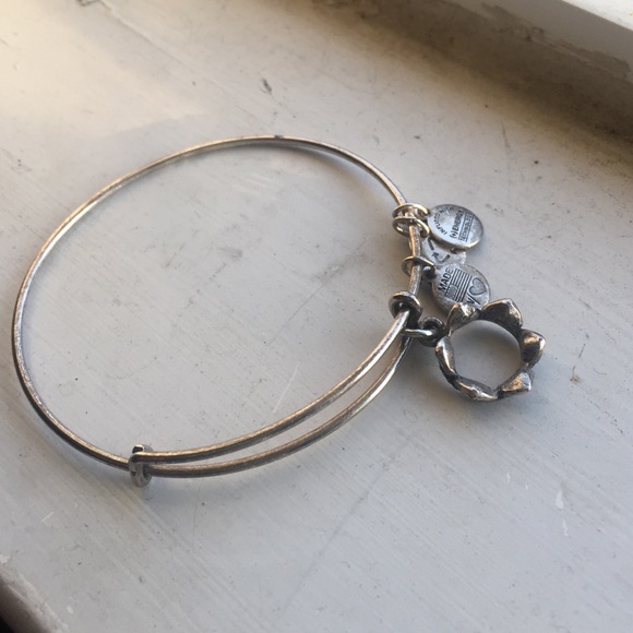 Alex and and Ani bracelet