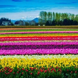 Meet your Posher, Candace