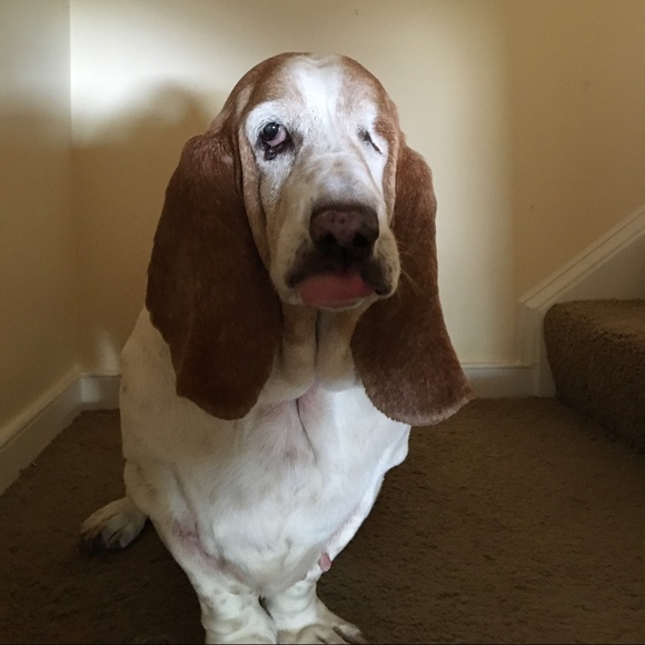 Meet your Posher, Arlyne