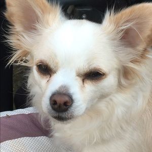 Meet your Posher, Angela