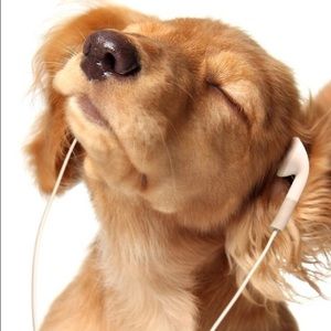 Meet your Posher, Juliana