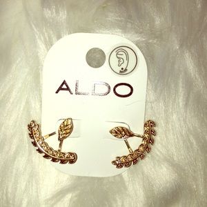 Aldo Earrings