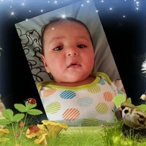 Meet your Posher, Alma