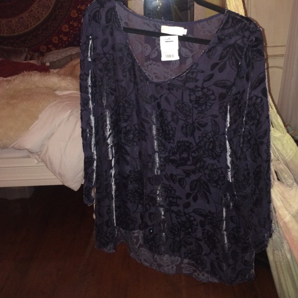 velvet sheer blouse