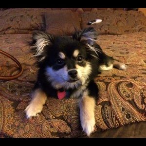 Meet your Posher, Lorena