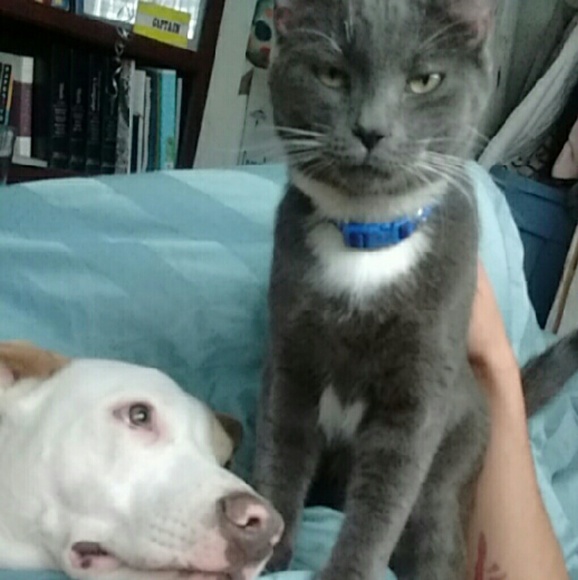 Meet your Posher, Deveyn