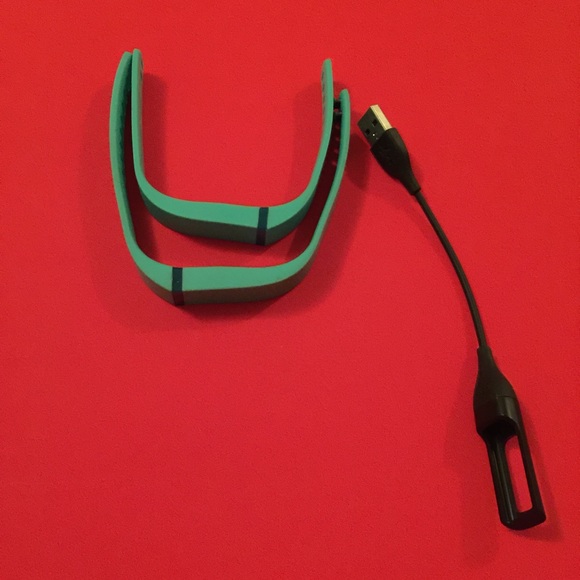 Fitbit Flex