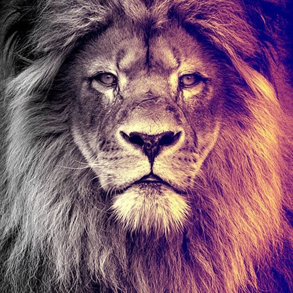 Meet your Posher, Ghadeer - Picture 1 of 1