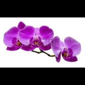 Meet your Posher, Cathy