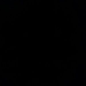 Meet your Posher, Bridget