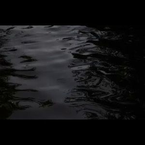 Meet your Posher, Shantee