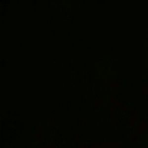 Meet your Posher, Gloria