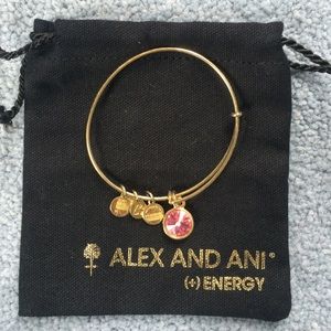 Pink Gemstone Alex and Ani