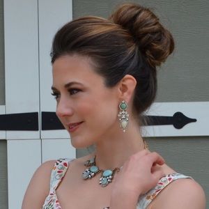 Meet the Posher, Sparkle Chest!