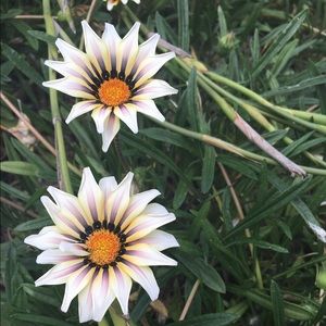 Meet your Posher, Jadalynne