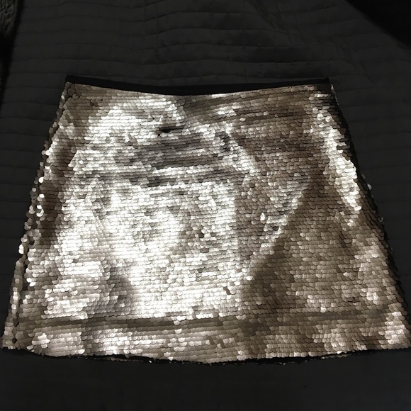 Zara Sequin Skirt