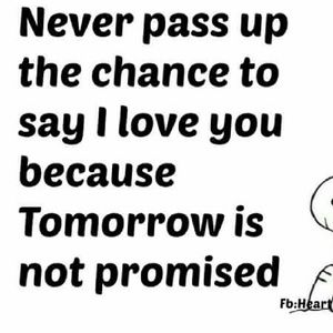 Meet your Posher, Delores