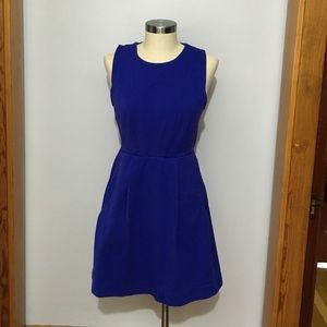 Cobalt dress- Madewell
