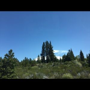 Meet your Posher, Yang