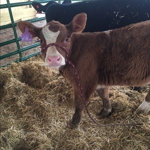 Meet your Posher, Kaylee