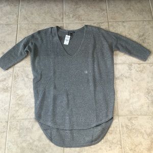 Express Metallic Sweater
