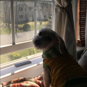 Meet your Posher, Amber