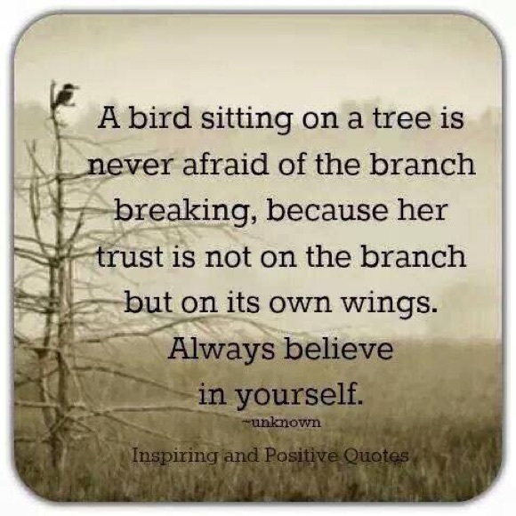 Lessons - Picture 3 of 4